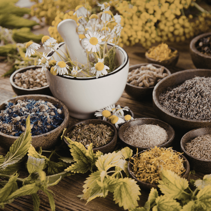 Herbs & Herbal Remedies